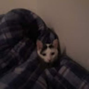 Meet your Posher, Riley